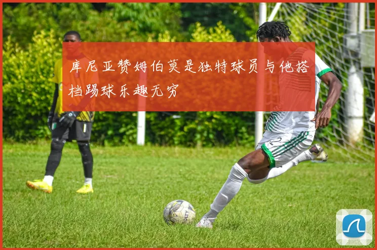 库尼亚赞姆伯莫是独特球员与他搭档踢球乐趣无穷